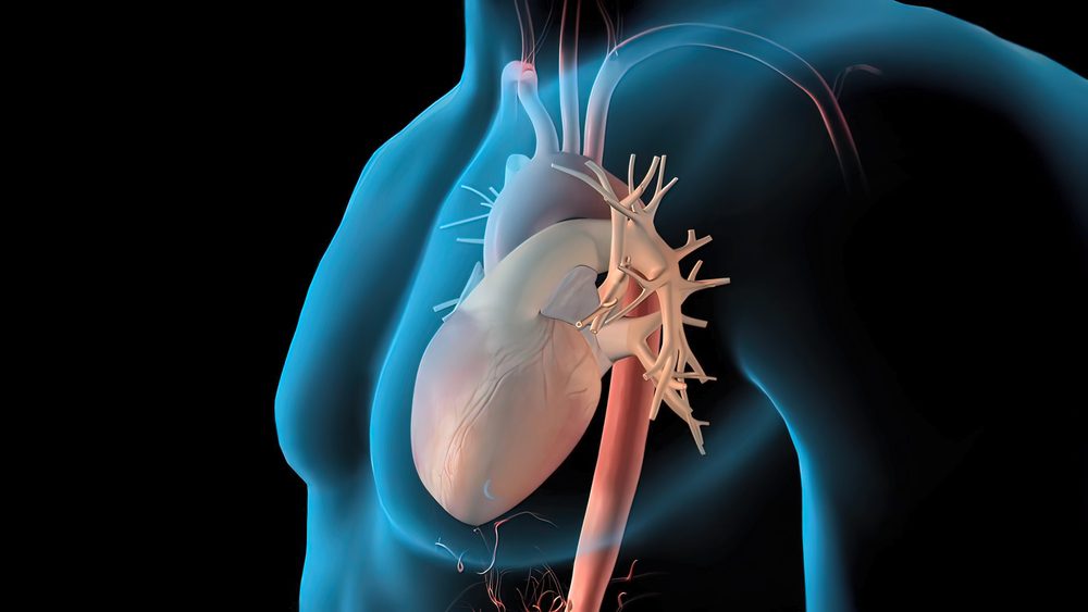 Do You Have Chest Pain? Here Are 26 Medical Reasons Why Your Chest ...