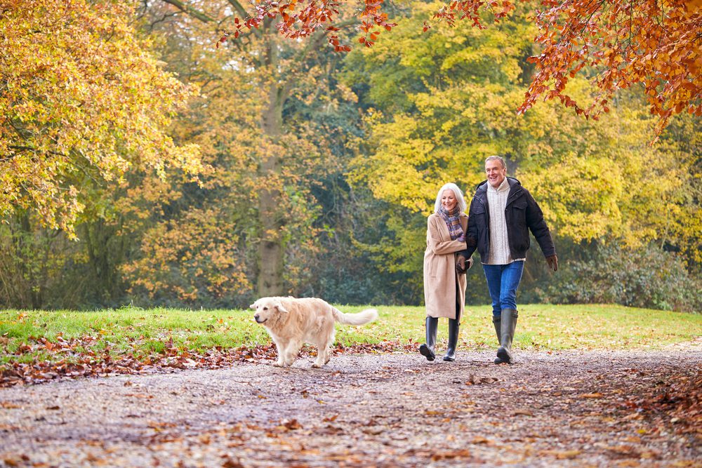 Forest Bathing Benefit