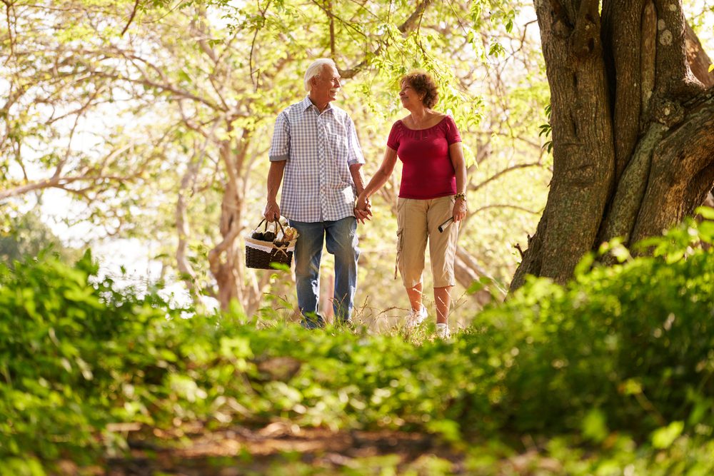 Forest Bathing Benefit