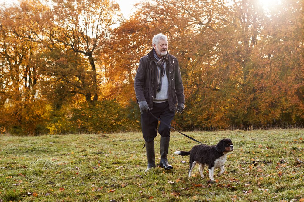 Forest Bathing Benefit