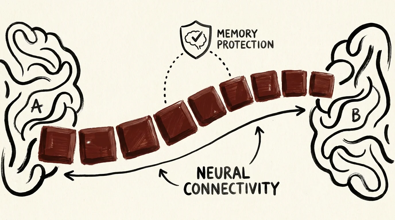 A conceptual ink drawing of dark chocolate squares forming a bridge between two sides of a brain.