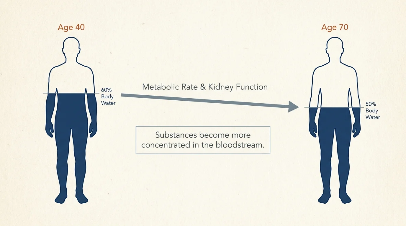 A diagram comparing body water levels at age 40 versus age 70, showing a decrease in water and metabolic rate.