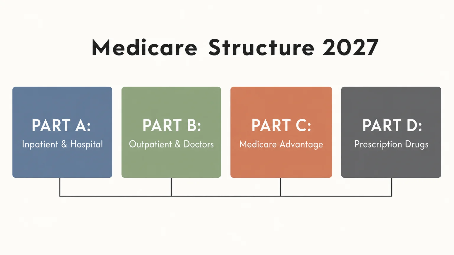 A clean, horizontal diagram showing Medicare Parts A, B, C, and D categorized in color-coded sections.