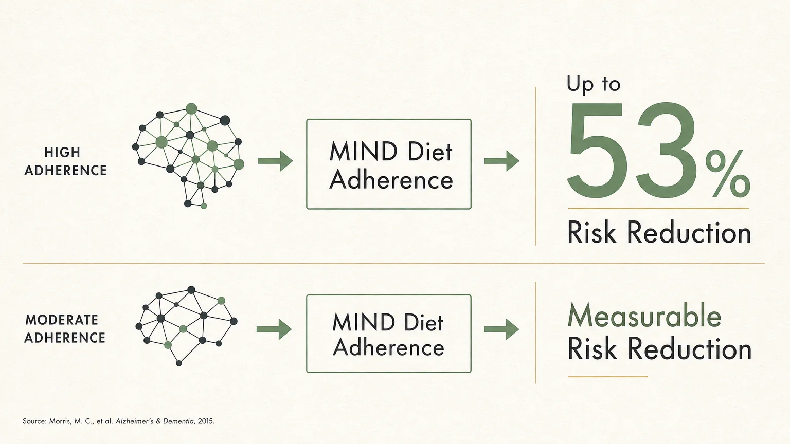 A horizontal minimalist diagram showing how strict adherence to the MIND diet can reduce Alzheimer's risk by up to 53 percent.