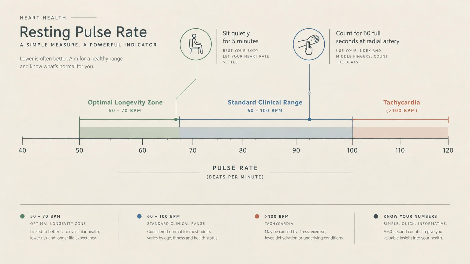 Diagram showing resting pulse rate ranges from 50 to 70 BPM for optimal longevity and 60 to 100 BPM for standard clinical care.