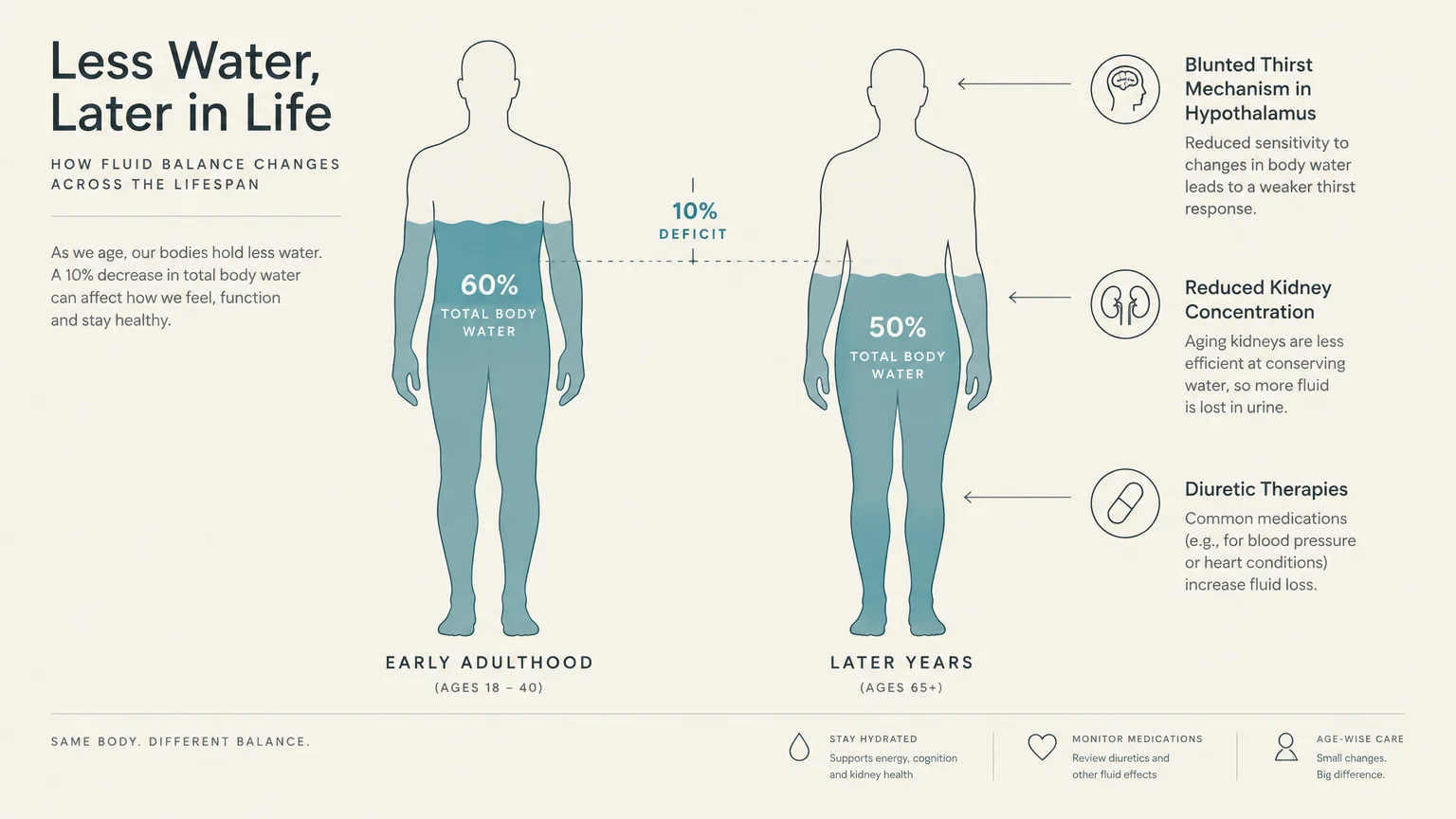 Infographic comparing total body water silhouettes between early adulthood at 60 percent and later years at 50 percent.