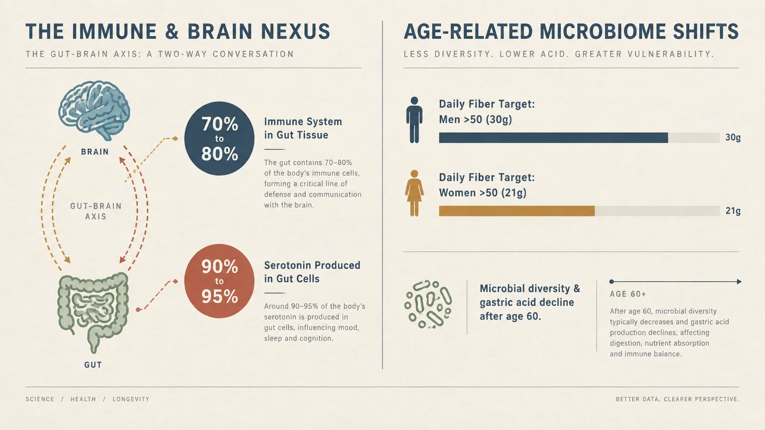 Diagram showing the gut-brain axis, fiber targets for seniors, and age-related microbiome decline statistics after age 60.