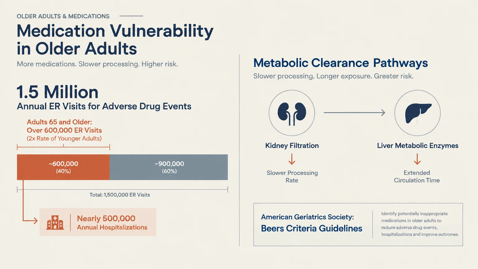 Infographic on medication vulnerability in older adults, featuring ER visit statistics and metabolic clearance pathways.